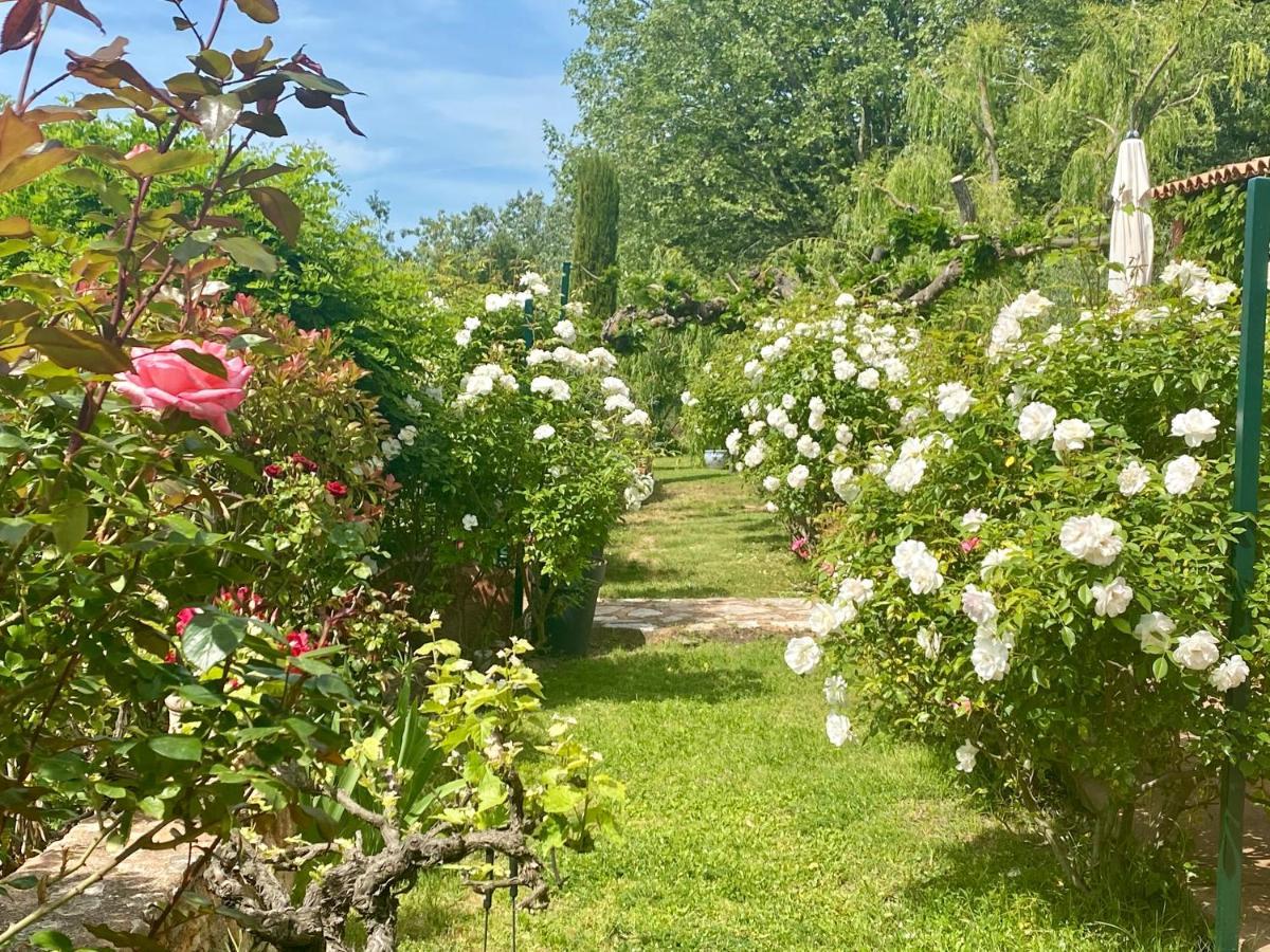 Villa Des Roses Руссільйон Екстер'єр фото